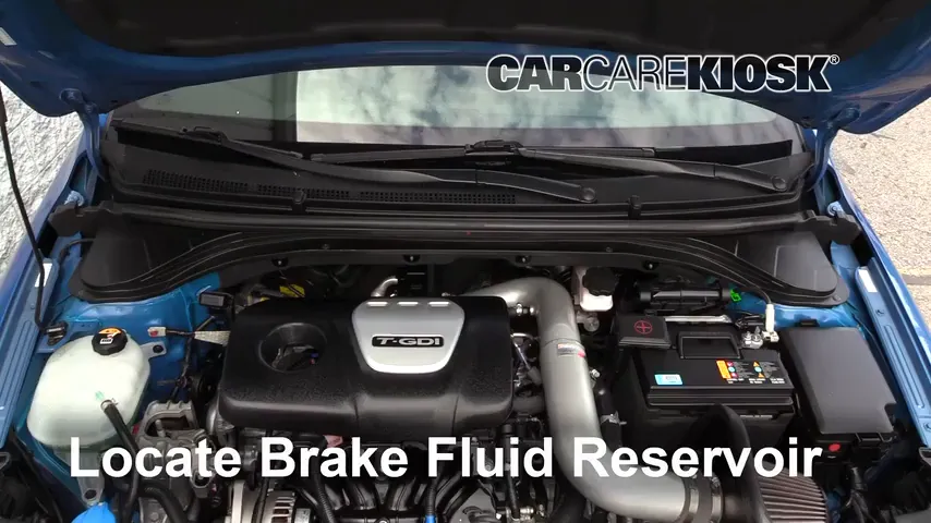 2018 Hyundai Elantra Sport 1.6L 4 Cyl. Turbo Brake Fluid Check Fluid Level